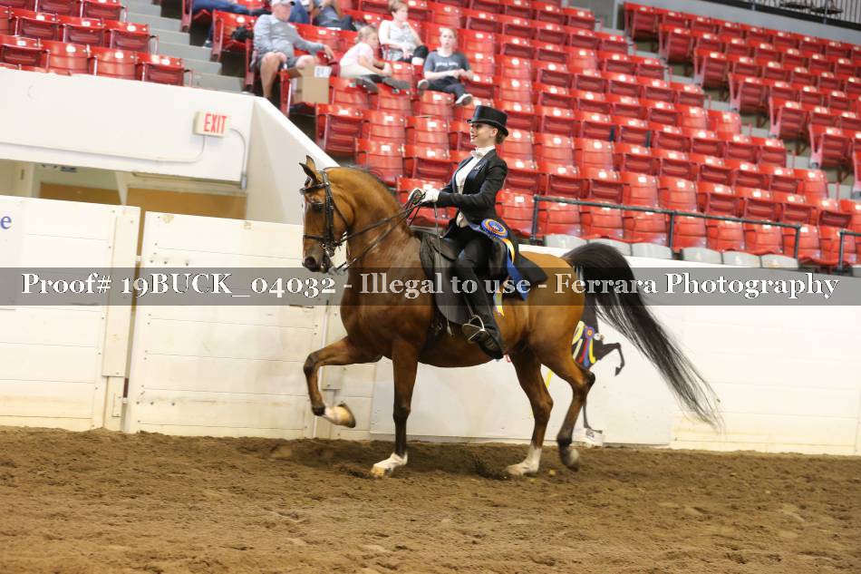 Proof 19BUCK_04032