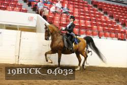 19BUCK_04032 proof