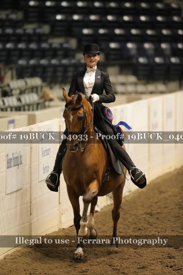 Proof 19BUCK_04033