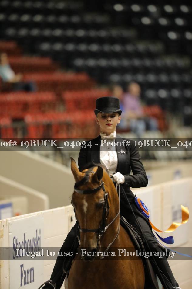 Proof 19BUCK_04034