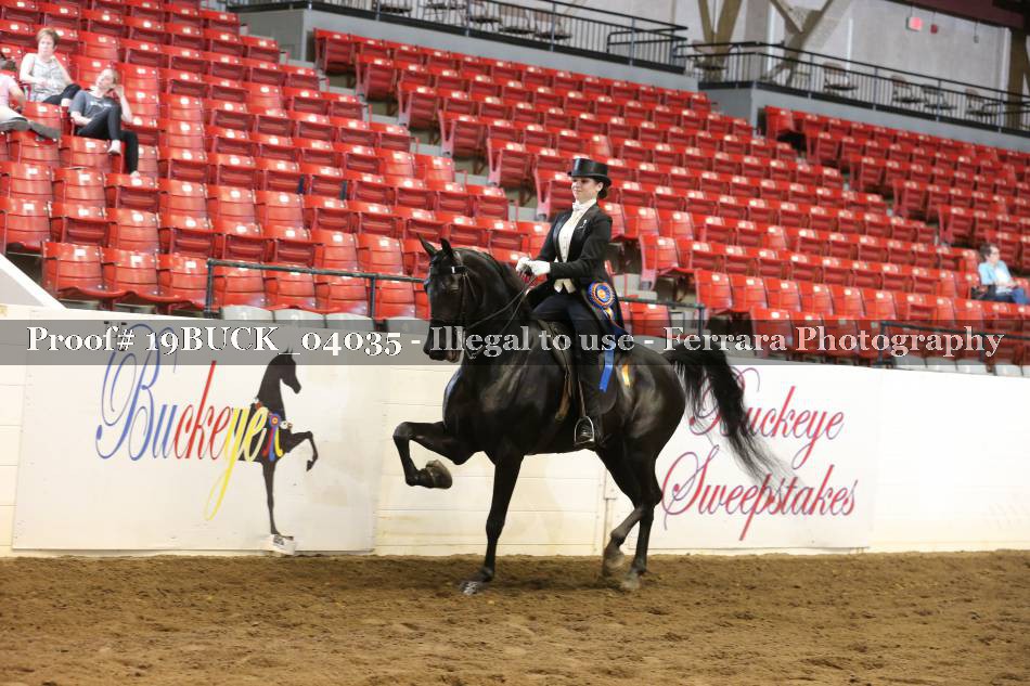 Proof 19BUCK_04035
