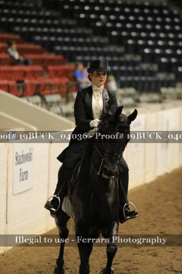 Proof 19BUCK_04036