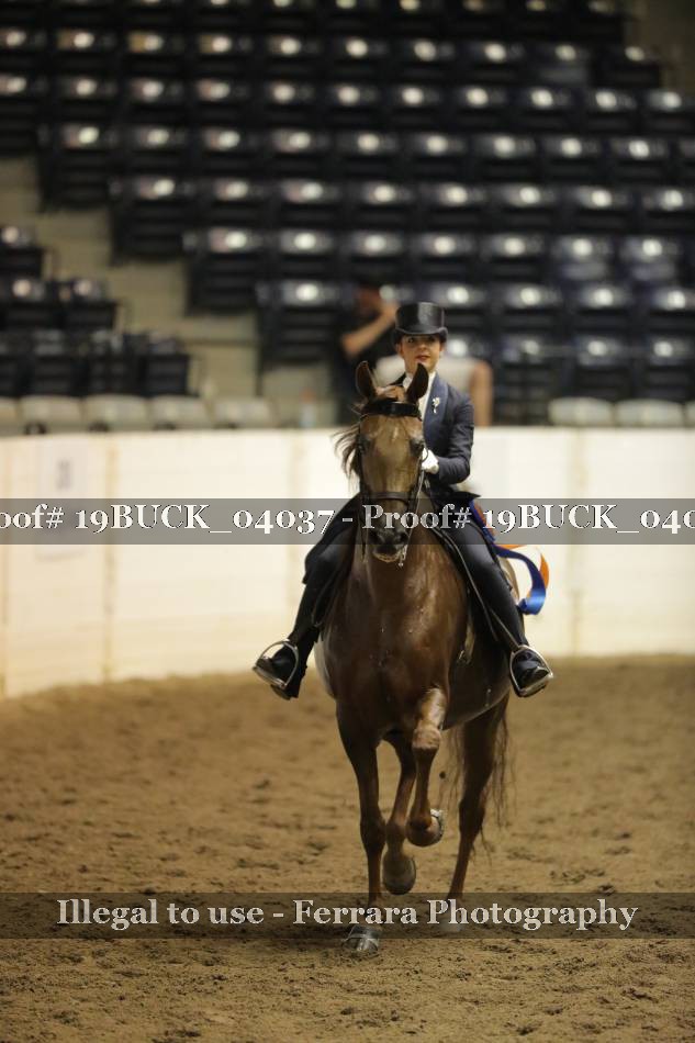 Proof 19BUCK_04037