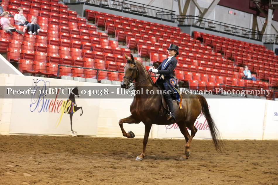 Proof 19BUCK_04038