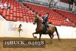 19BUCK_04038 proof