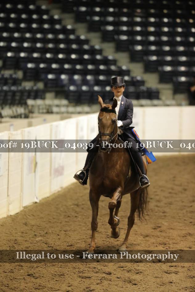 Proof 19BUCK_04039