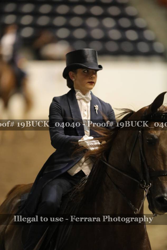 Proof 19BUCK_04040