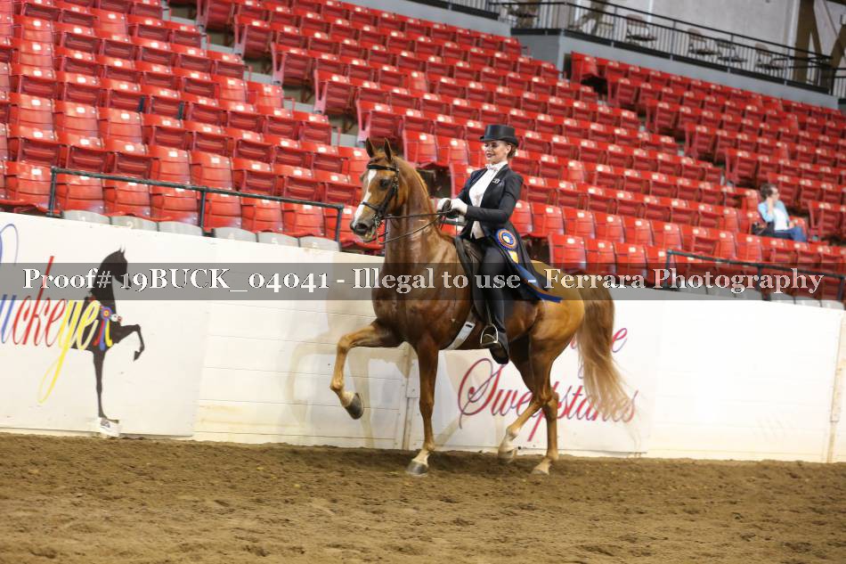 Proof 19BUCK_04041