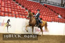 19BUCK_04041 proof