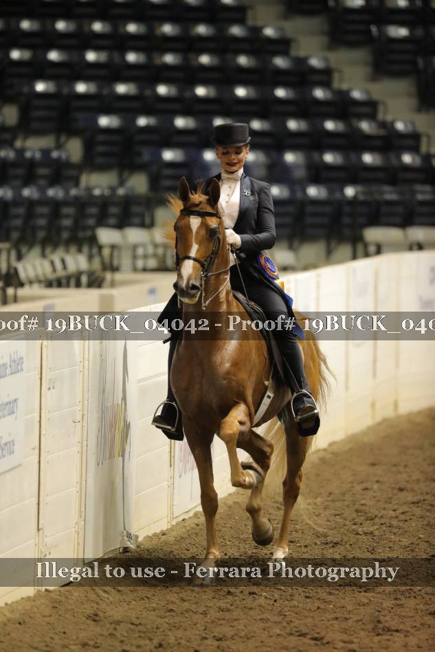 Proof 19BUCK_04042