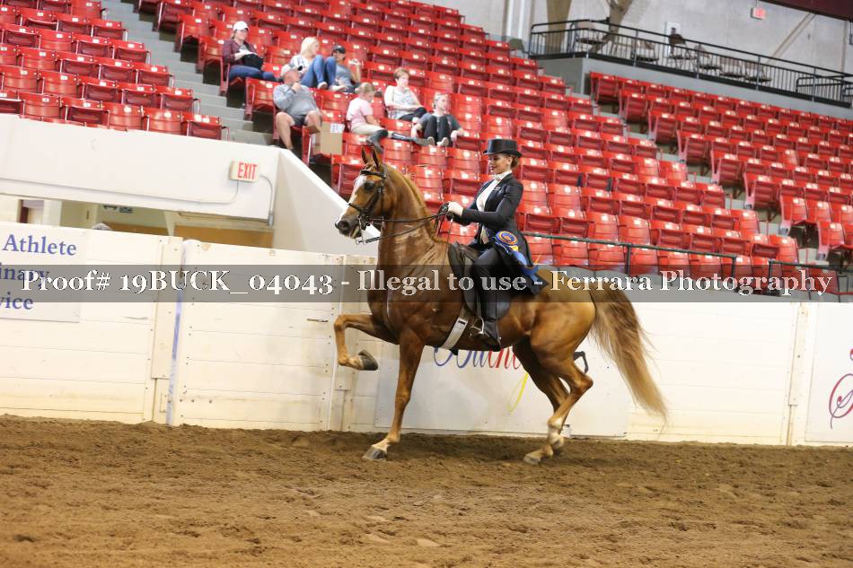 Proof 19BUCK_04043