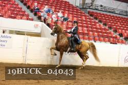 19BUCK_04043 proof