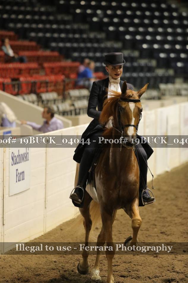 Proof 19BUCK_04044