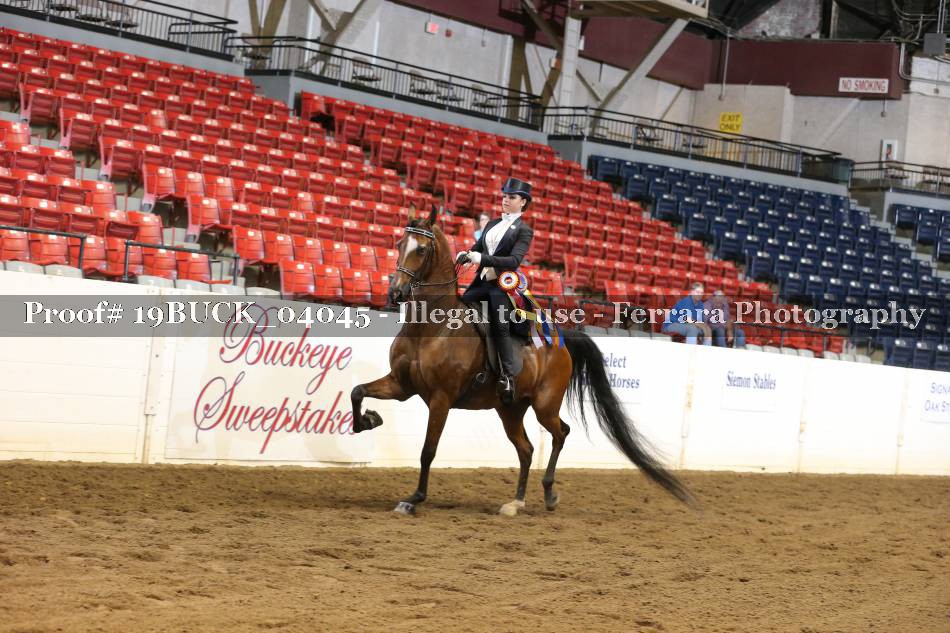 Proof 19BUCK_04045