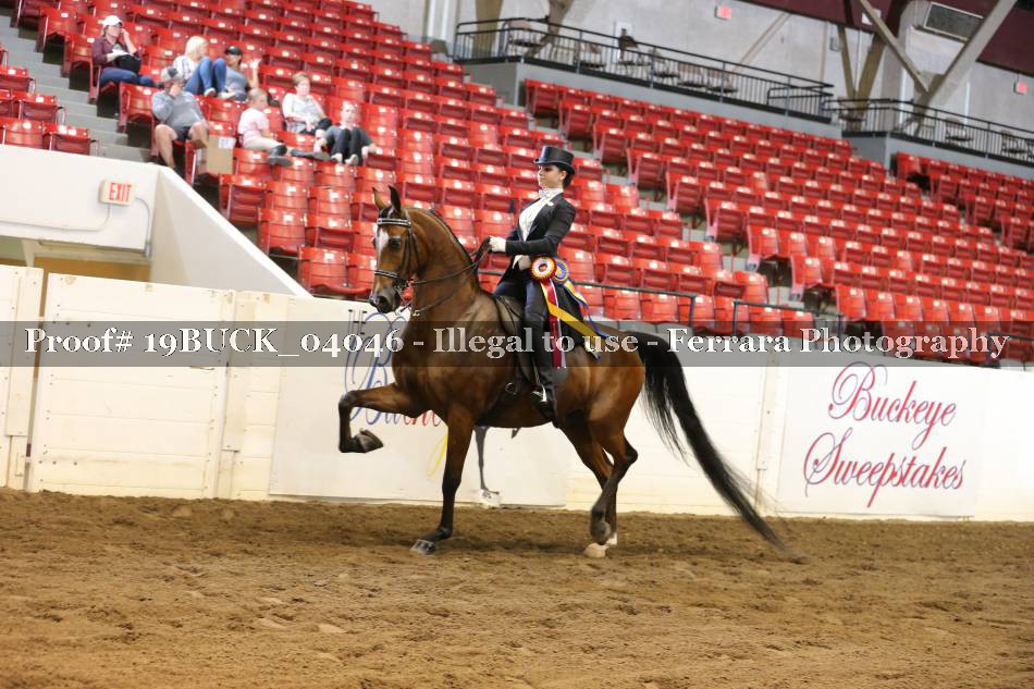 Proof 19BUCK_04046