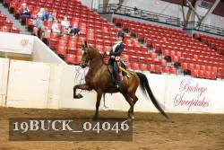 19BUCK_04046 proof