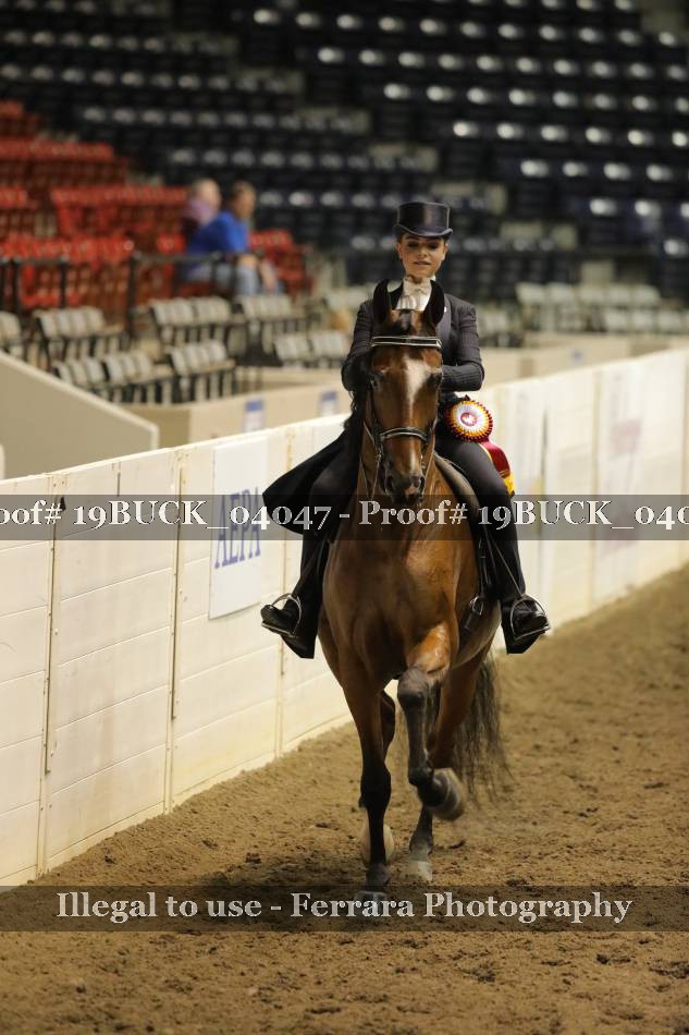 Proof 19BUCK_04047
