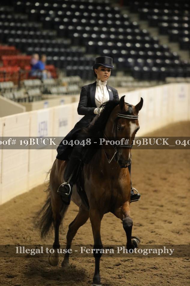 Proof 19BUCK_04048