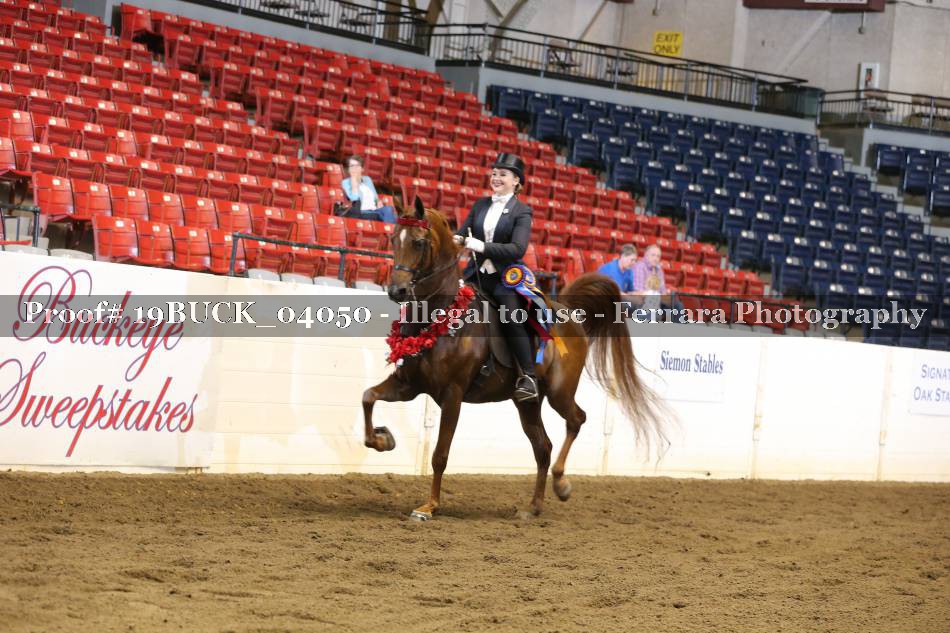 Proof 19BUCK_04050