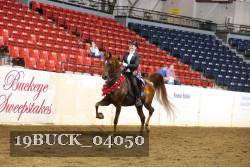 19BUCK_04050 proof