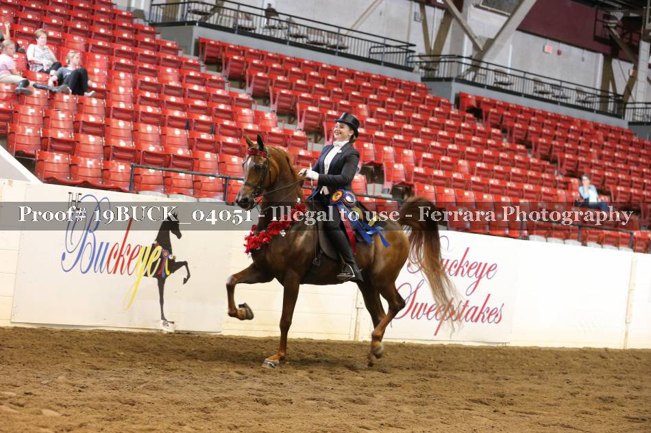 Proof 19BUCK_04051