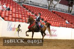 19BUCK_04051 proof