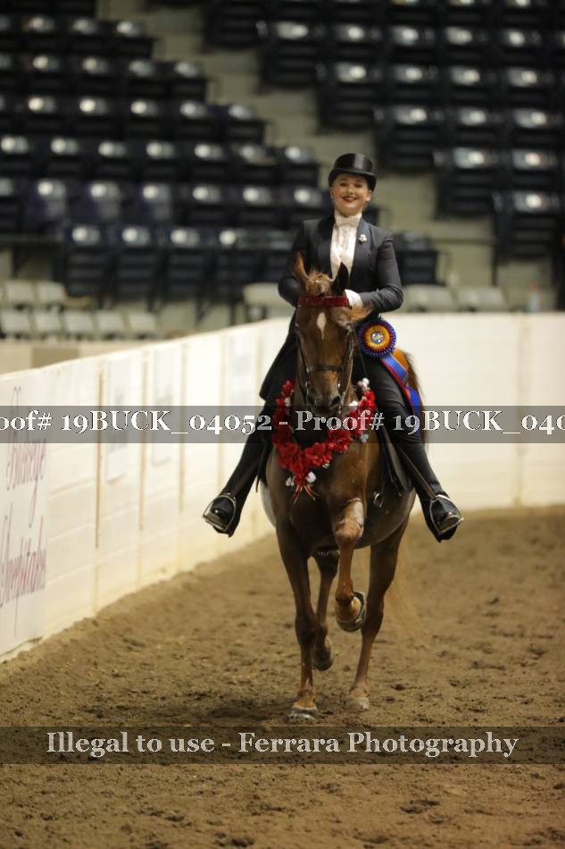 Proof 19BUCK_04052