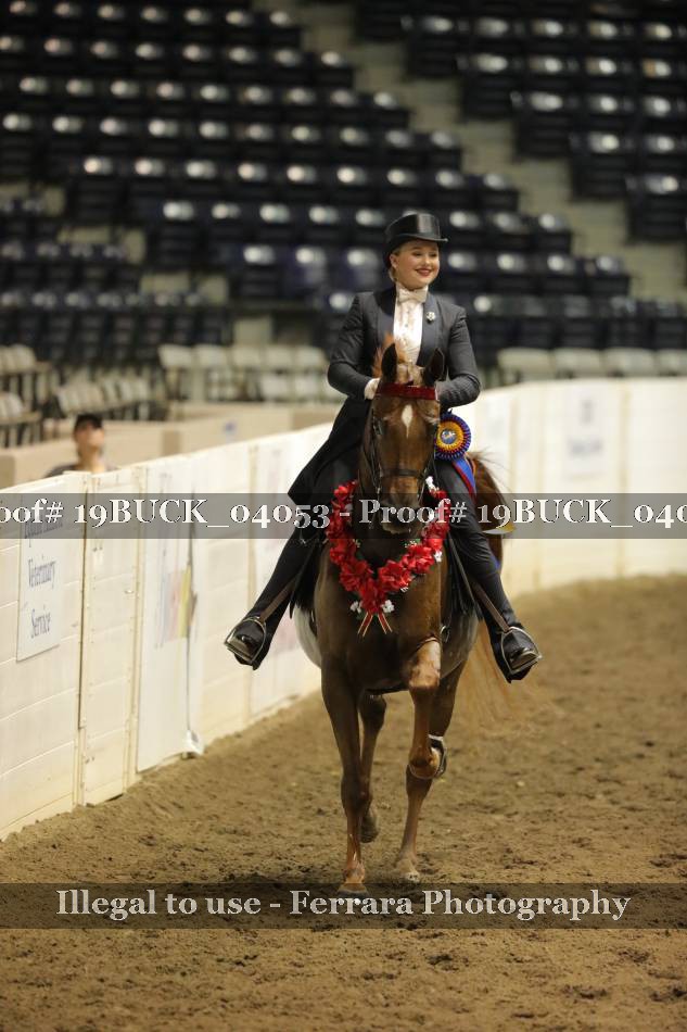 Proof 19BUCK_04053
