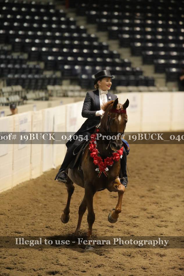 Proof 19BUCK_04054