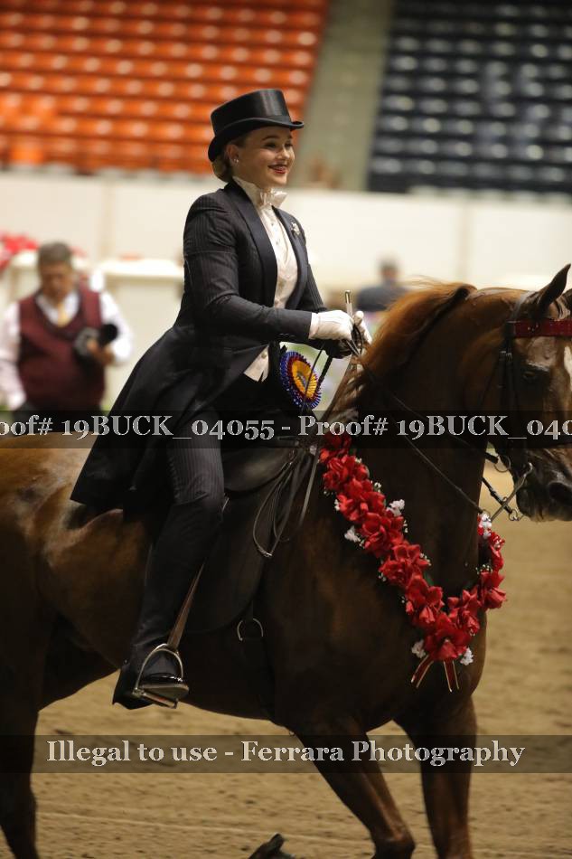 Proof 19BUCK_04055