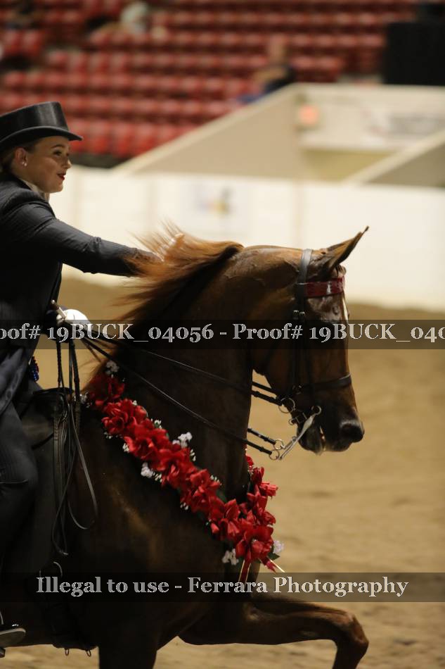 Proof 19BUCK_04056