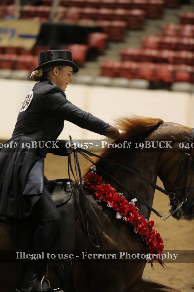 Proof 19BUCK_04057