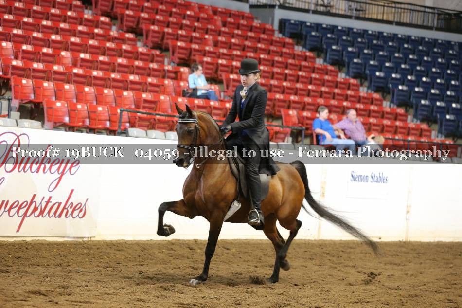 Proof 19BUCK_04059