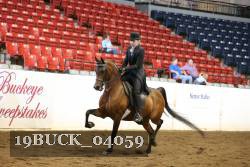 19BUCK_04059 proof