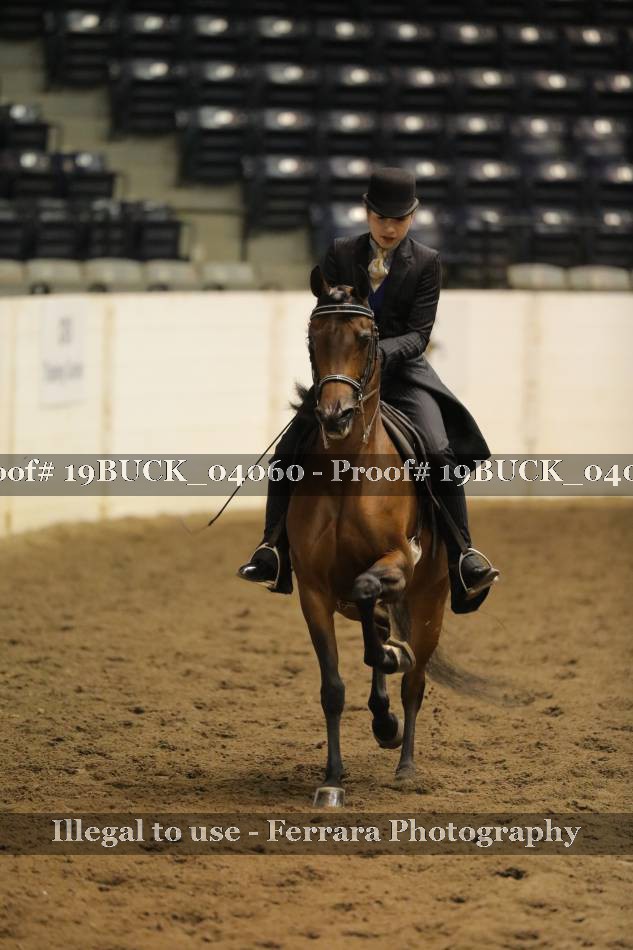 Proof 19BUCK_04060