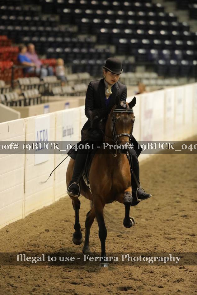 Proof 19BUCK_04061