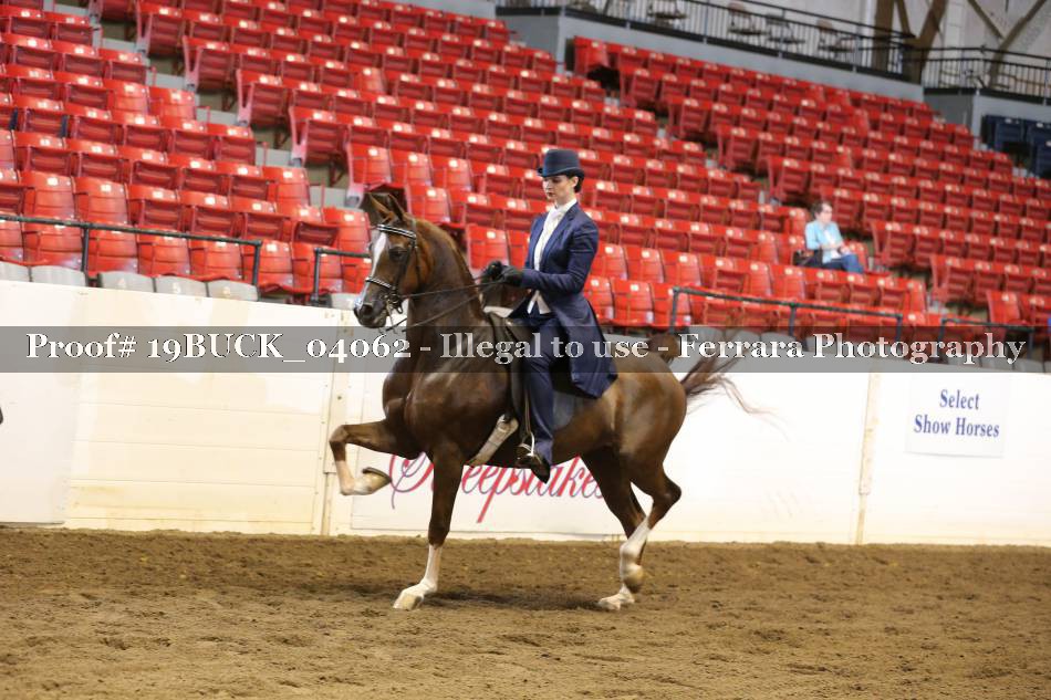 Proof 19BUCK_04062