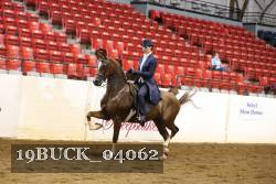 19BUCK_04062 proof
