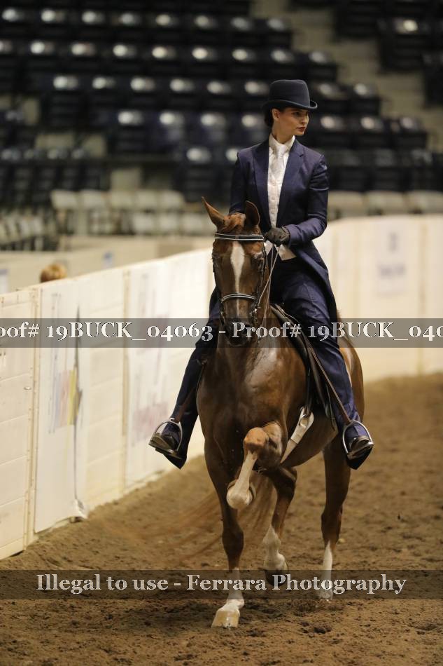 Proof 19BUCK_04063