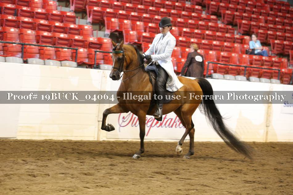 Proof 19BUCK_04064