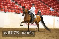 19BUCK_04064 proof
