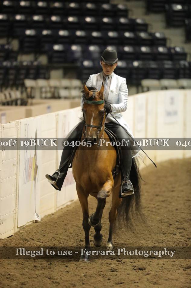 Proof 19BUCK_04065