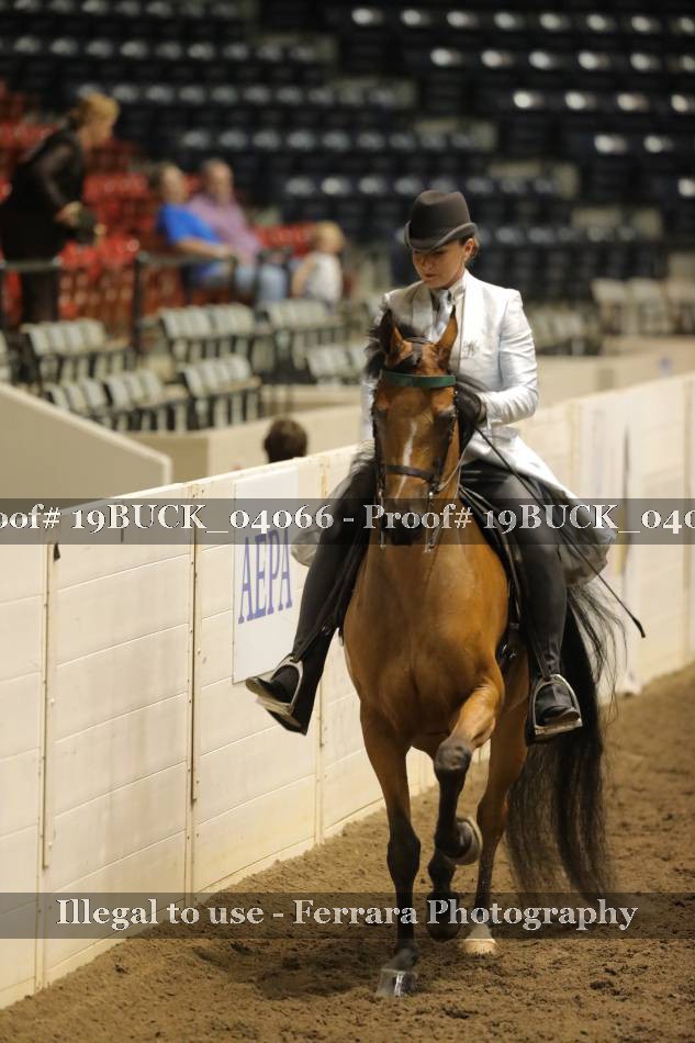 Proof 19BUCK_04066