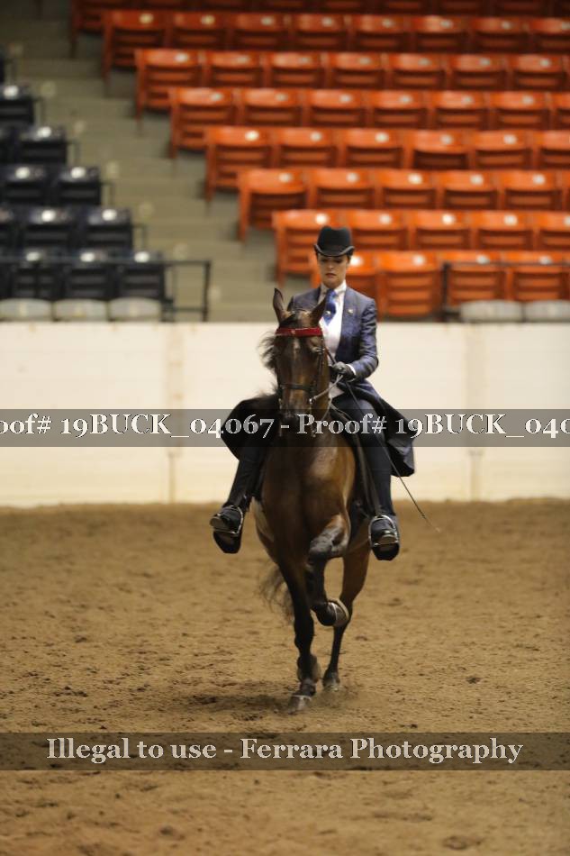 Proof 19BUCK_04067