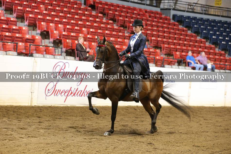 Proof 19BUCK_04068