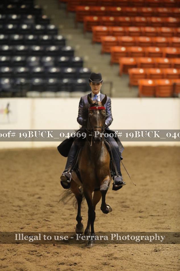 Proof 19BUCK_04069