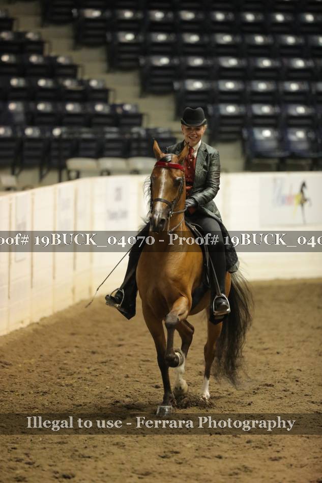 Proof 19BUCK_04070