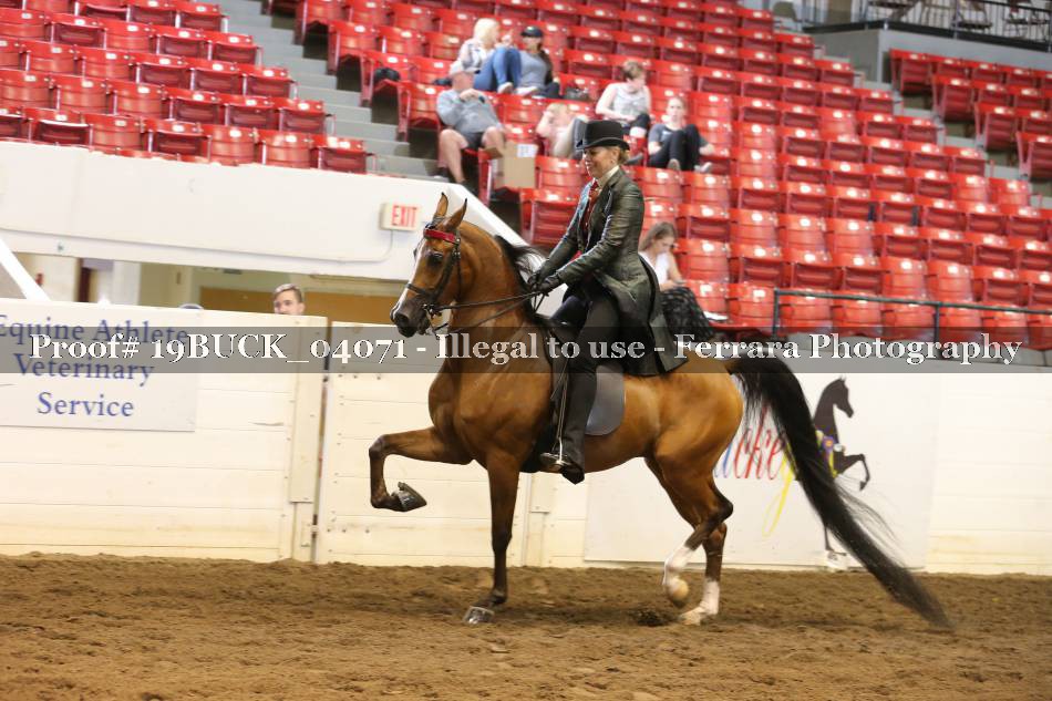 Proof 19BUCK_04071