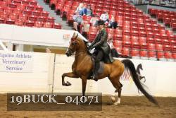 19BUCK_04071 proof