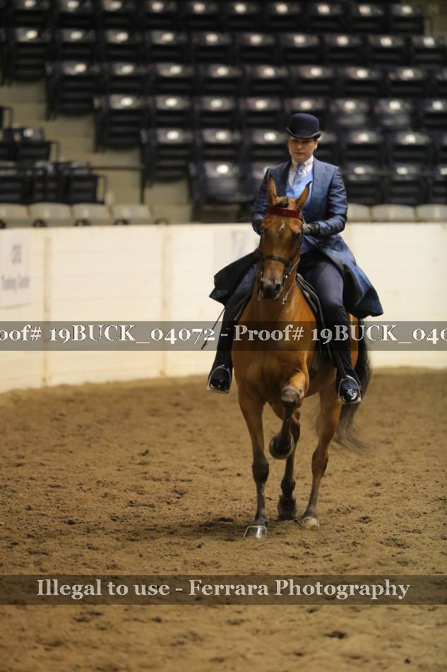 Proof 19BUCK_04072
